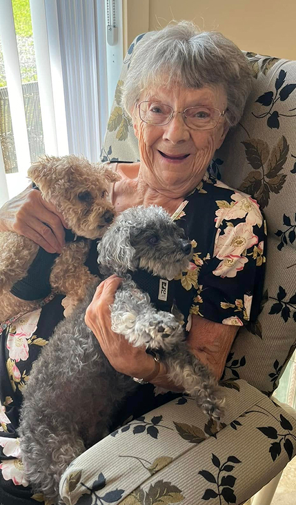 residente avec chiens